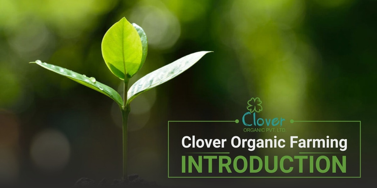 Clover Organic Farming – Introduction
